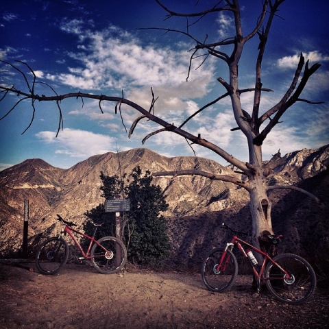 13 Things Startup CEOs Can Learn From Mountain Biking